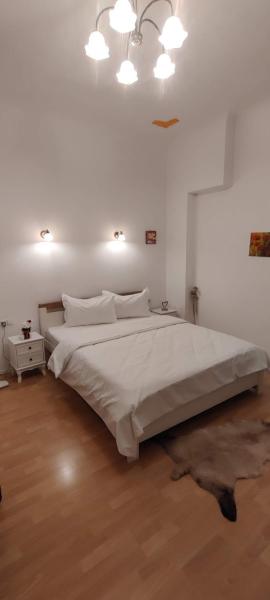 Cozy Apartment
